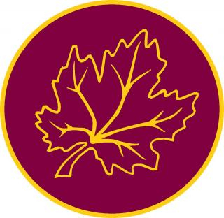 Maplefields Academy Logo 320