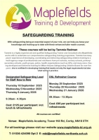 Safeguarding for DSL Refresher Course   (2)